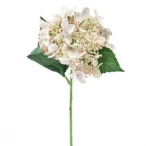 Article Hortensia fleur de jardin artificielle crème avec bourgeons 52cm