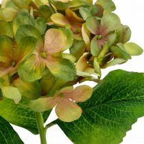 Hortensia artificiel Vert, Jaune fleur artificielle H35cm