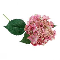 Article Hortensia fleur de jardin artificielle rose et verte avec bourgeons 52cm
