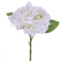 Article Hortensias artificielles blanches, fleurs artificielles au toucher réel, 33cm