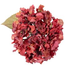 Article Branche de Fleurs d’Hortensia Artificielle 74 cm Rouge