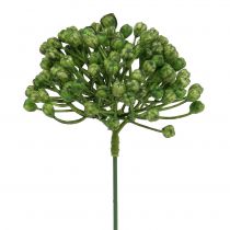 Article Pic à bourgeons d&#39;hortensia 22cm vert 12 pcs