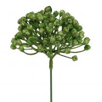 Article Pique-boutons d&#39;hortensia 22cm vert 12pcs