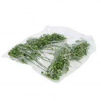 Article Pic à bourgeons d'hortensia 22cm vert 12 pcs