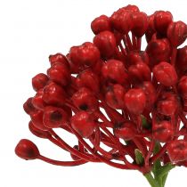 Article Pic à bourgeons d&#39;hortensia 22cm rouge 12pcs