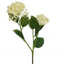 Article Branche de bourgeons d’hortensia 55 cm crème 6 p.
