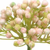 Article Boutons d&#39;hortensia 21 cm rose 12 pcs