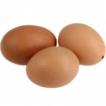 Oeufs de poule bruns 10 pcs
