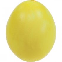 Article Oeufs de Pâques oeufs soufflés jaunes oeuf de poule 5,5 cm 10 pcs