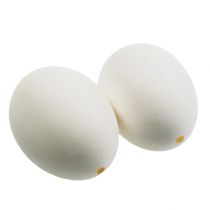 Article Oeufs de poule blancs 10 pcs
