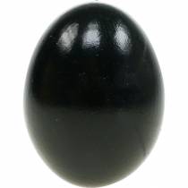 Article Oeufs de poule Décoration de Pâques noire Oeufs soufflés 10 pcs