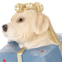 Article Dekofigur chien assis chiot en paquet-cadeau résine 20 cm