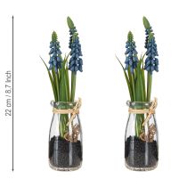 Article Jacinthe artificielle Pearl Jacinthe bleue en verre H22cm 2pcs