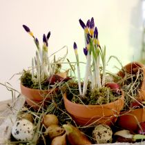 Article Pot de fleurs en terre cuite Ø9cm hauteur 8cm 10pcs