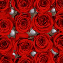 Article Petites roses éternelles Fleurs stabilisées Rouge Ø3cm 16pcs