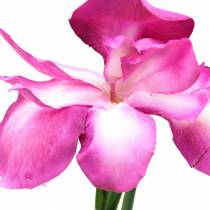 Iris artificiell Rose 78cm