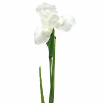 Iris artificiel Blanc 78cm