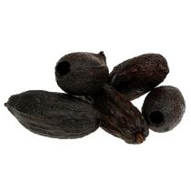 Cabosses de cacao naturel 10-18cm 15pcs
