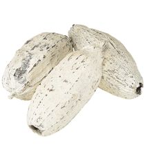 Article Cabosses de cacao blanchies à la chaux 15 pièces