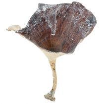 Champignon Kalix lavé blanc 100p