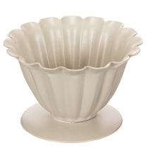 Article Coupe décorative crème 9 cm en forme de fleur