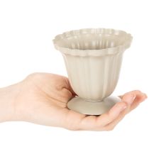 Article Petite coupe décorative en métal crème 10 cm