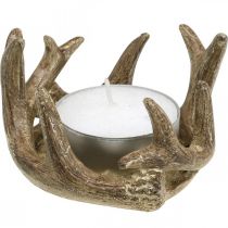 Photophore bougeoir bois de cerf doré H7cm Ø10cm 2pcs