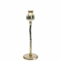 Chandelier Fleur De Pavot Champagne H34cm