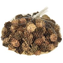 Article Pommes de pin naturelles petites décorations en filet 2,5-3,5 cm 300 g