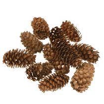Article Petits cônes de pruche décoratifs naturels Avent 3-4cm 100g