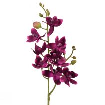 Article Petite Orchidée Phalaenopsis Fleur Artificielle Fuchisa 30cm