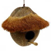 Noix de coco comme nichoir, nichoir à accrocher, décoration noix de coco Ø16cm L46cm