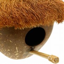 Noix de coco comme nichoir, nichoir à accrocher, décoration noix de coco Ø16cm L46cm
