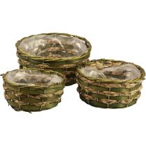 Panier à plantes tressé vert 30×24/26×20/22×15cm lot de 3