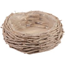 Panier à plantes en osier lavé blanc Ø25cm H11cm