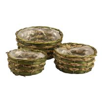 Corbeille à plantes ronde tressée bois vert Ø26/21/18cm lot de 3
