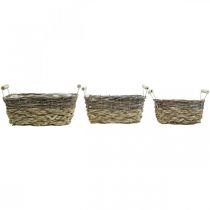 Article Panier à plantes avec anses, bol panier carré, jardinière naturelle pour planter shabby chic blanc lavé L30/25,5/21 cm H12/11/10 cm lot de 3