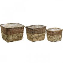 Article Ensemble de 3 corbeilles naturelles carrées pour plantes, 29,5/26/23 cm