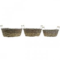 Article Panier naturel à planter, panier avec anses, jardinière shabby chic blanc lavé L31/27.5/24cm H12/11.5/10cm lot de 3