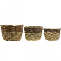 Article Panier naturel à planter, corbeille déco, coupelles à plantes naturel L21/19/16cm H21/19/16cm lot de 3