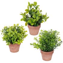 Article Plante artificielle en pot, texture réaliste, pour la décoration intérieure, 18 cm, lot de 3.