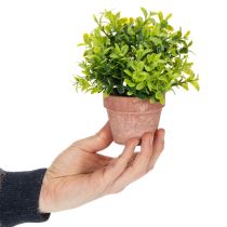 Article Plante artificielle en pot, texture réaliste, pour la décoration intérieure, 18 cm, lot de 3.