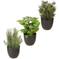 Article Herbes artificielles basilic thym romarin Ø11,5cm 3pcs