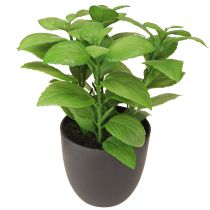Article Herbes artificielles basilic thym romarin Ø11,5cm 3pcs