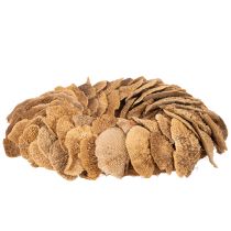 Article Couronne en champignons de bois naturels 37 cm pour décoration murale ou de porte