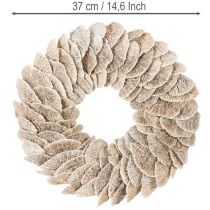 Article Couronne en champignon naturel blanchi avec support en fibre 37 cm pour décoration intérieure