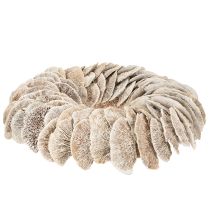 Article Couronne en champignon naturel blanchi avec support en fibre 37 cm pour décoration intérieure