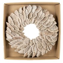 Article Couronne en champignon naturel blanchi avec support en fibre 37 cm pour décoration intérieure