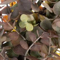 Article Krantz décoratif en eucalyptus artificiel rond 45 cm pour automne