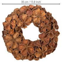 Article Couronne décorative en lotus séché 35 cm, marron